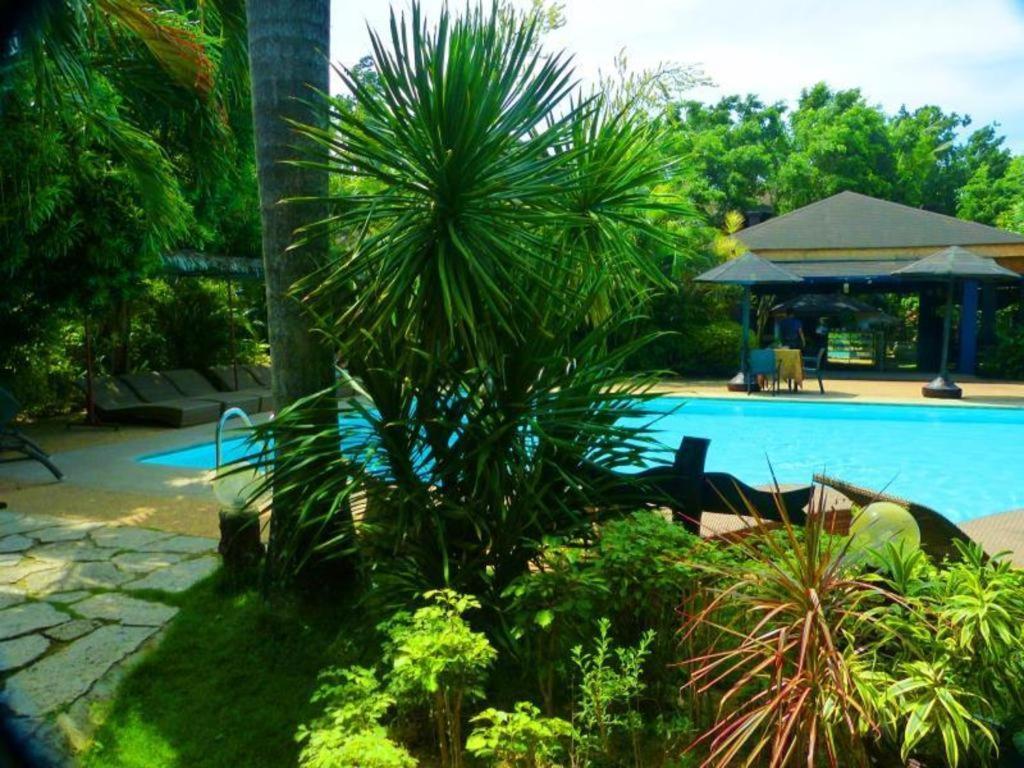 Alta Cebu Resort Exteriör bild