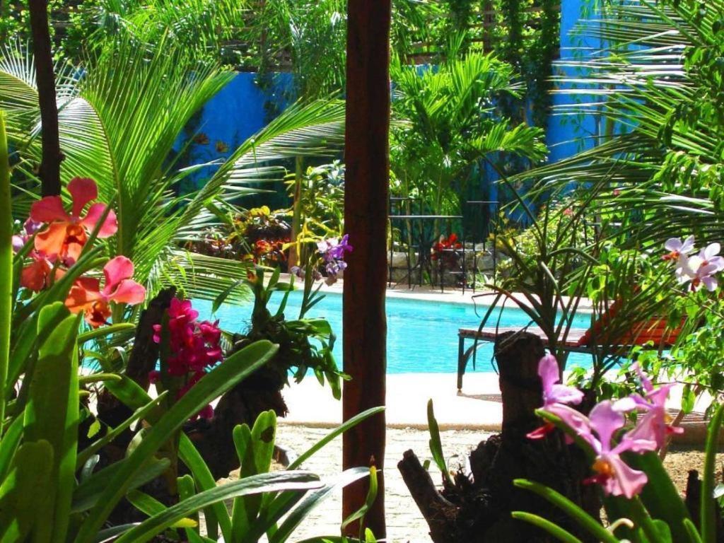 Alta Cebu Resort Exteriör bild